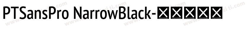 PTSansPro NarrowBlack字体转换